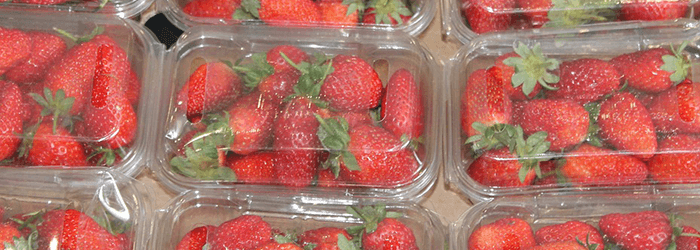 Plastic food containers for packaging liquid and solid