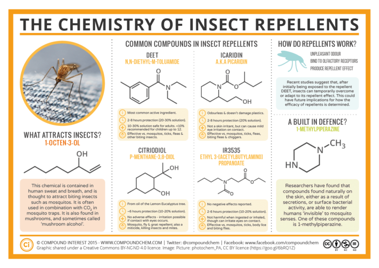 What You Want To Know About Insect Repellent and Chemical Safety ...