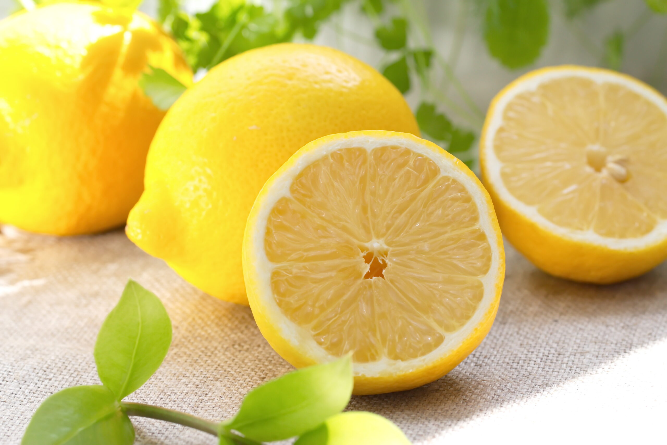 Langue citrique fruits